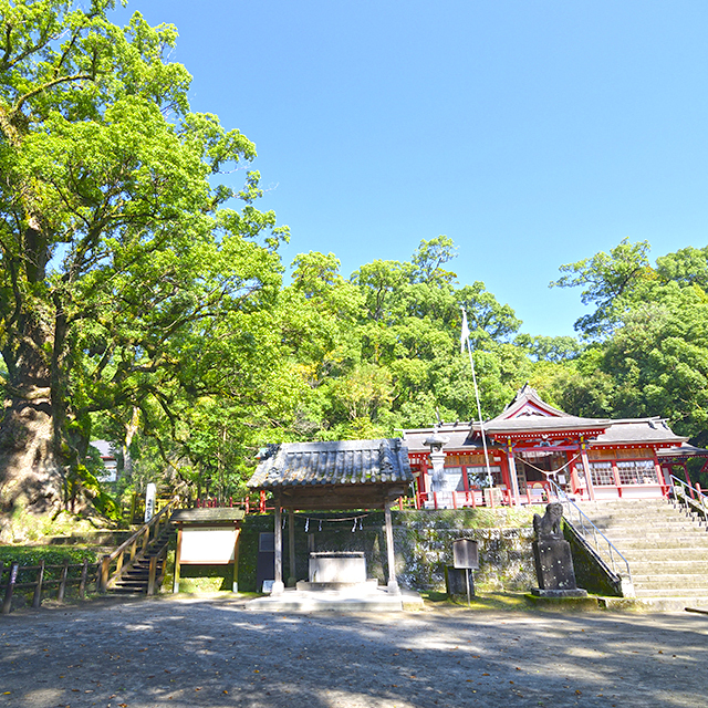 蒲生八幡神社の写真