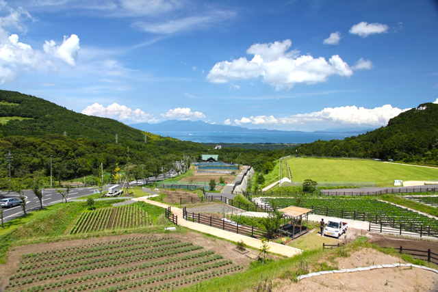 グリーンファーム 鹿児島市観光農業公園の写真