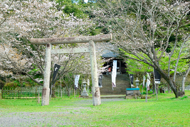 精矛神社の写真