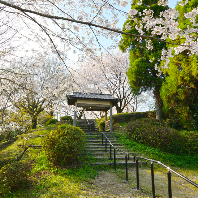 蒲生城山公園（蒲生城跡）の写真