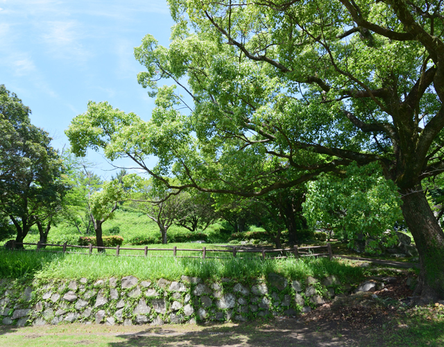 富隈城跡（稲荷山公園）の写真