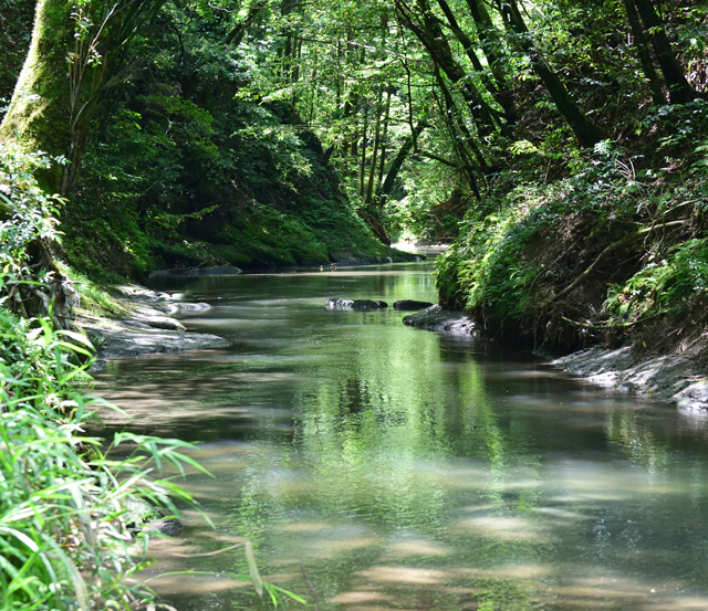 大出水の湧水の写真