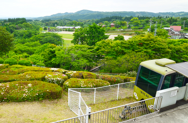 丸岡公園の写真