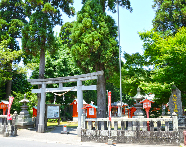 大汝牟遅神社の写真