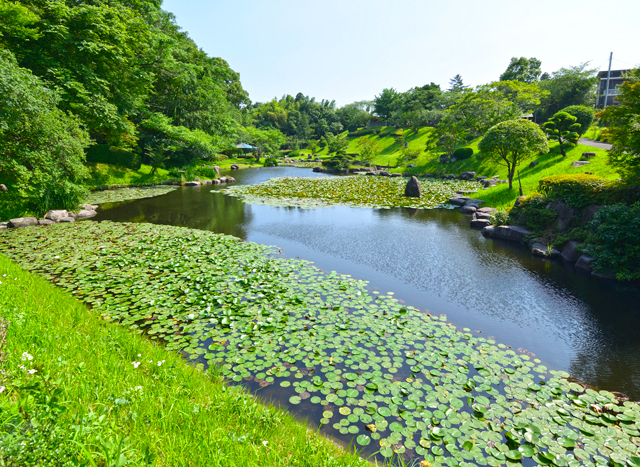 末吉向江公園の写真