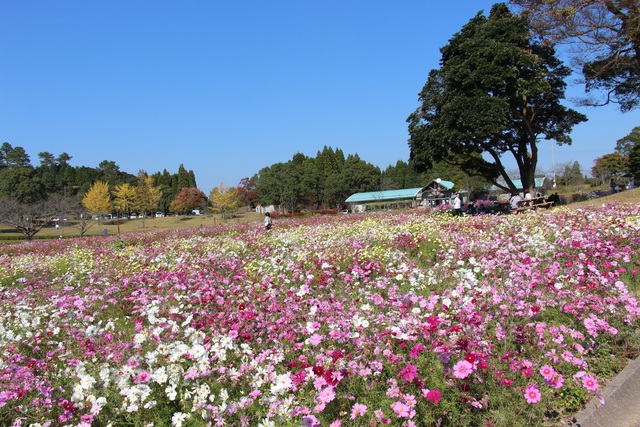 鹿児島市都市農業センターの写真