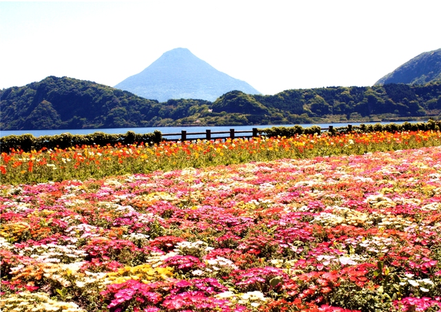 池田湖の写真