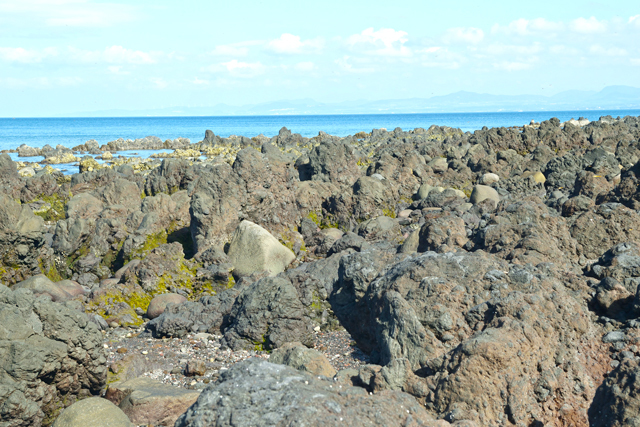 花瀬崎の縄状玄武岩の写真