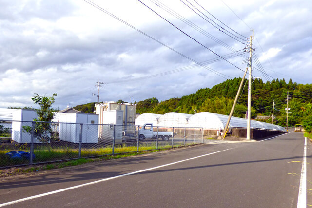 日本なまず生産 株式会社の写真