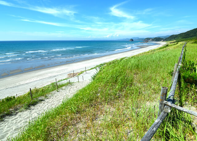 唐浜海岸（唐浜臨海公園）の写真