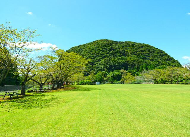 いこいの森 丸山公園の写真