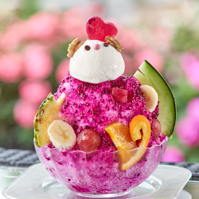 くまりんごさま　Magazine 　写真集　トレカ23枚 Cuteな赤熊を召し上がれ♪ - ワンデリ しろくま - Resort Restaurant