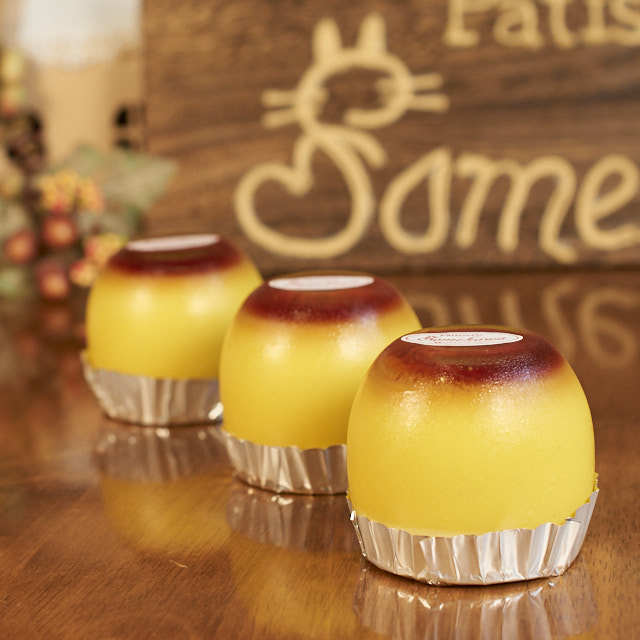 ぱんぷきんぷりん様