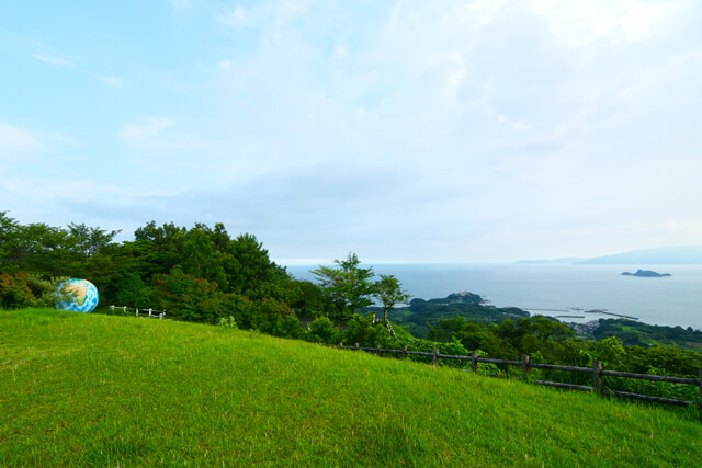 陣岳国際の森の写真