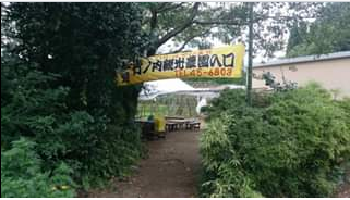 竹ノ内観光農園の写真