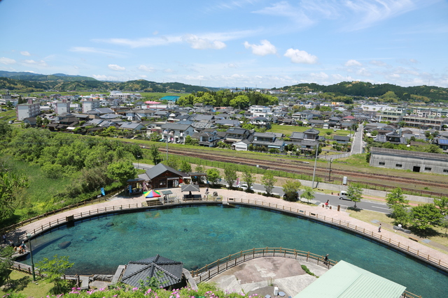 丸池湧水（日本名水百選）の写真
