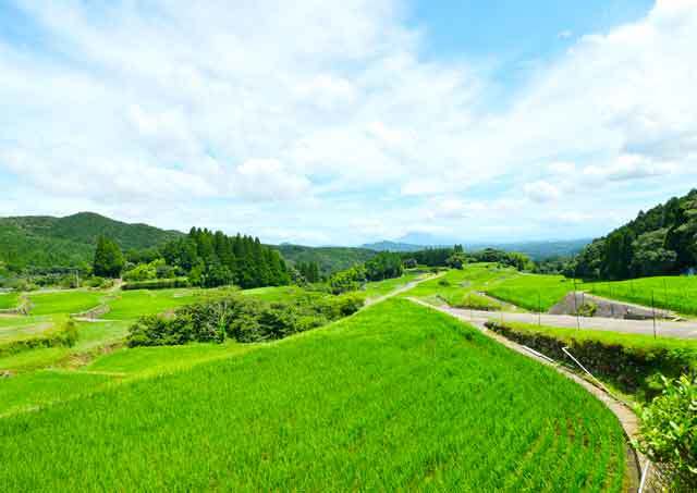 八重の棚田の写真