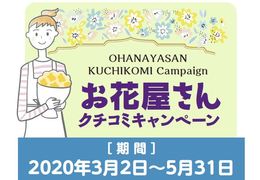 プレゼント画像