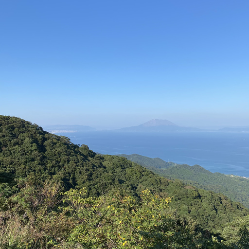 鹿児島愛‼️