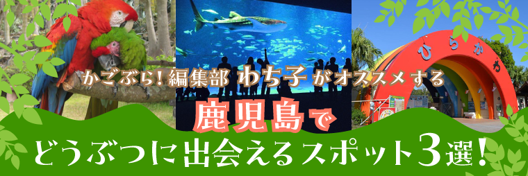 編集部わち子ががおすすめする「どうぶつと出会えるスポット」3選！