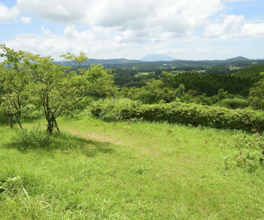 陣ヶ岡